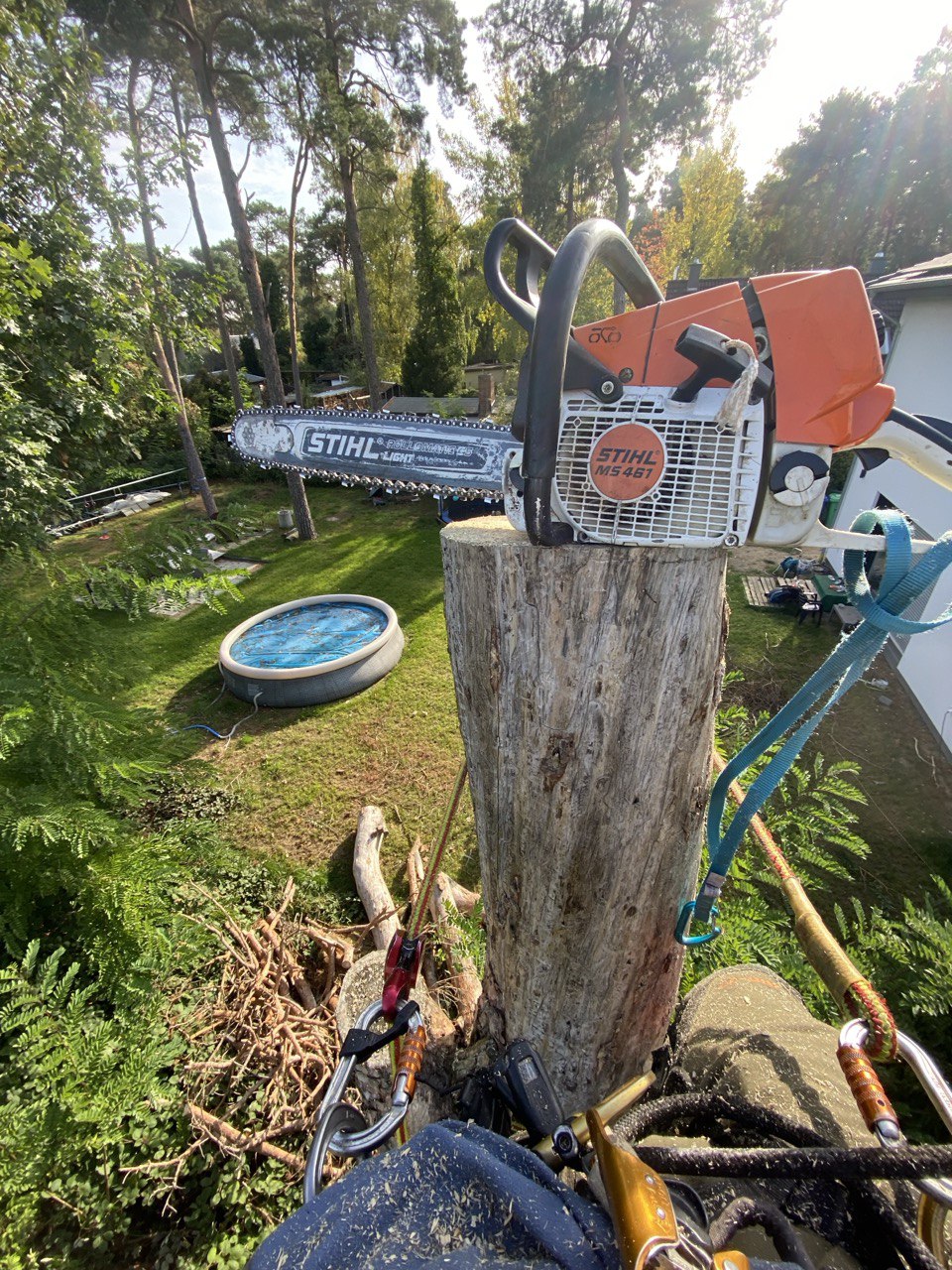 Kettensäge hoch im Baum
